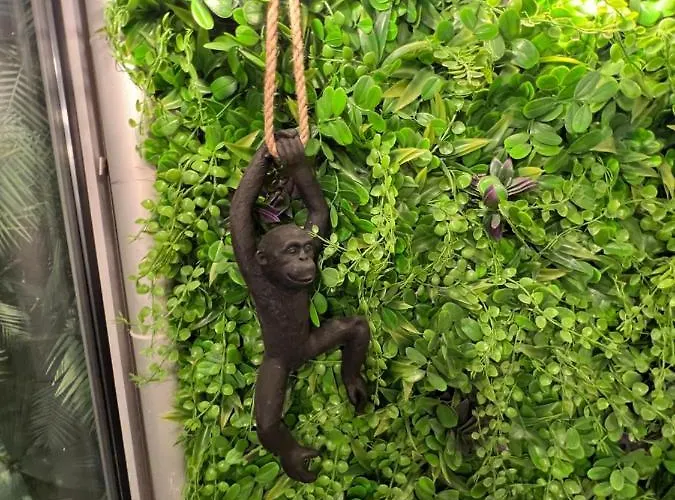 De Charme 6 Pers Avec Jacuzzi & Sauna Privatifs Au Coeur De - Esprit Coco 아파트 뮐루즈